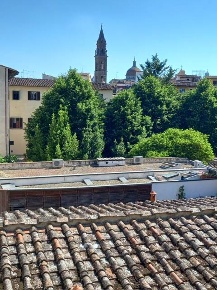 Foto Appartamento a Firenze San Frediano di 20 m² con 1 locali in affitto