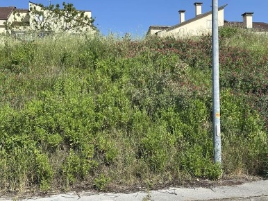 Foto Terreno edificabile a Morro d'Alba Centro di 800 m² in vendita