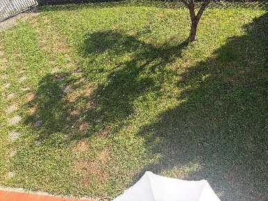 Foto Villa bifamiliare a Castelnuovo Magra Colombiera Molicciara di 150 m²