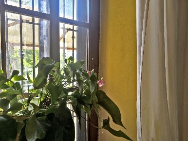 Foto Appartamento a Asciano Centro di 225 m² con 7 locali in vendita