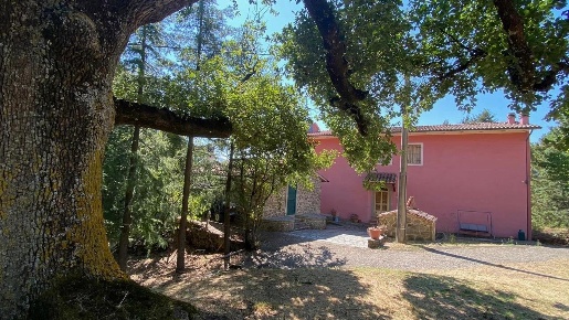 Foto Casale a Arcidosso Centro di 410 m² con 8 locali in vendita