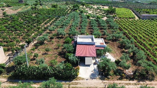 Foto Terreno agricolo in Magone, Ribera di 9104 m² in vendita