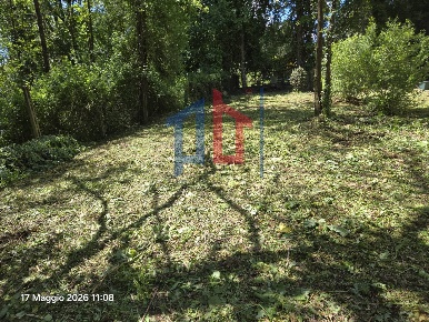 Foto Agriturismo in Via Pratoni del Vivaro 1, Rocca di Papa di 250 m²