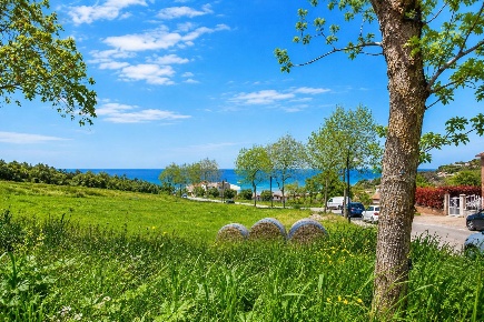 Foto Terreno residenziale in Strada Provinciale snc, Tortoreto di 10812 m²