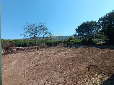Foto Terreno agricolo in Via Niccolini, Caserta Via Ruggiero di 726 m²