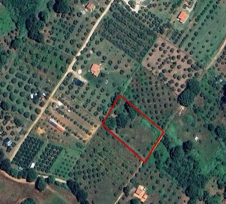 Foto Casa indipendente in Loalità VIII Piano (La Vecchia), Manciano