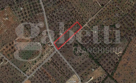 Foto Terreno agricolo in Via ugento 100, Ugento Centro di 3250 m²