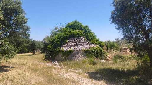 Foto Casa indipendente in Contrada Balice, Monopoli di 70 m² in vendita