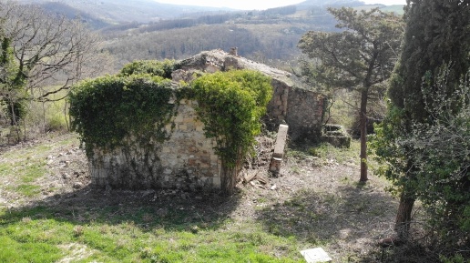 immagine annuncio 4 di 7