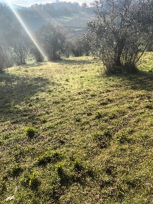 Foto Terreno residenziale in Strada di Vallecupa snc, Terni di 11120 m²
