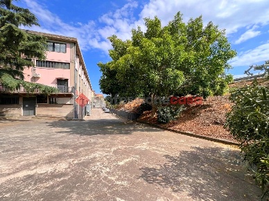 Foto Ufficio in Via Rosolino Pilo 4, Motta Sant'Anastasia Piano Tavola