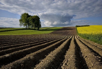 Foto Terreno agricolo in Via DOSSI SNC, Borgo Veneto Dossi di 30600 m²
