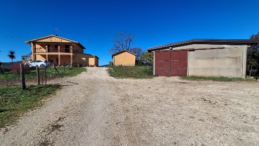 Foto Cessione attività a Capalbio di 16 m² con 6 locali in vendita