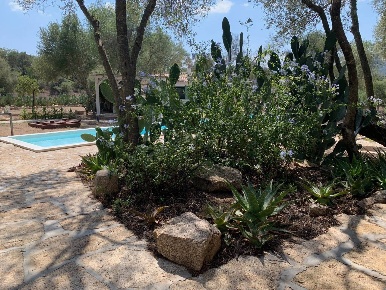 Foto Villa singola in San Pantaleo Costa Smeralda, Olbia di 236 m²