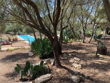 Foto Villa singola in San Pantaleo Costa Smeralda, Olbia di 236 m²