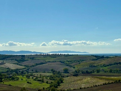 Foto Villa unifamiliare a Magliano in Toscana Centro di 270 m² con 9 locali