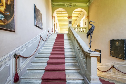 immagine annuncio 8 di 15