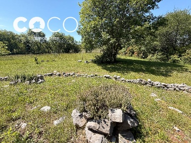 Foto Terreno agricolo a Sagrado di 9500 m² in vendita