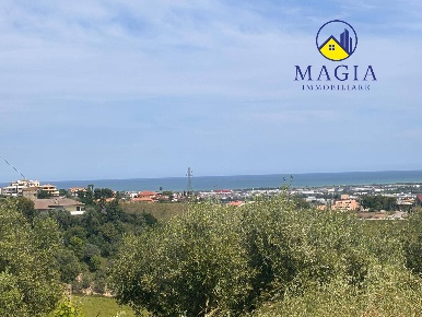 Foto Terreno agricolo a Monteprandone di 2500 m² in vendita