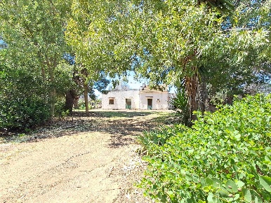 Foto Rustico in Contrada Serranova snc, Carovigno Serranova di 220 m²