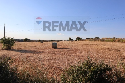 Foto Terreno agricolo in C.da Gelso, Ragusa San Luigi - Archimede