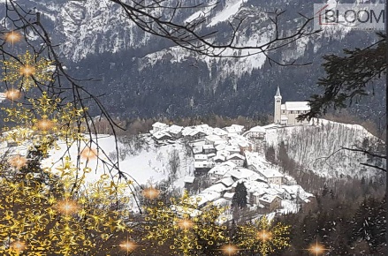 Foto Terreno residenziale a Valle di Cadore di 3800 m² in vendita