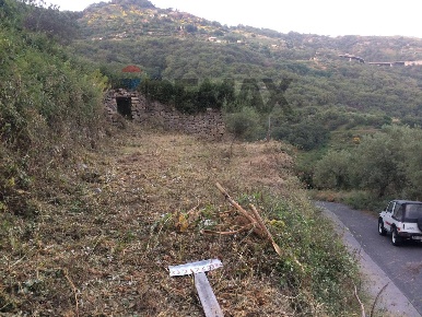 Foto Terreno agricolo in castiglione, Gallodoro di 6600 m² in vendita