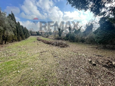 Foto Terreno residenziale a Formello Centro di 5360 m² in vendita