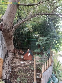 Foto Appartamento in Via Roma, Moricone di 115 m² con 5 locali in vendita