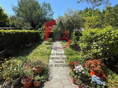Foto Rustico a Pisa Le Piagge di 184 m² con 7 locali in vendita