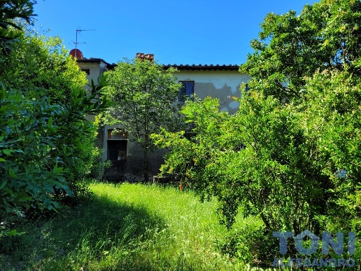 immagine annuncio 10 di 14