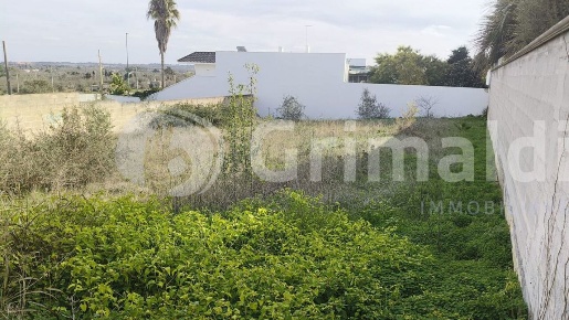 Foto Terreno edificabile in via enaudi 0, Collepasso di 700 m² in vendita