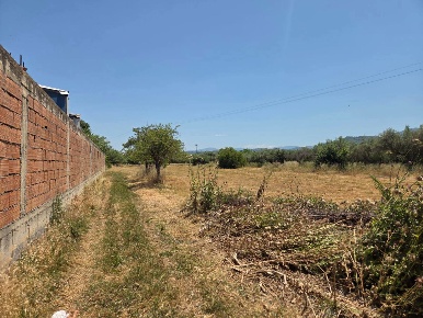 Foto Terreno agricolo in Via POZZO PERLA SNC, Barcellona Pozzo di Gotto