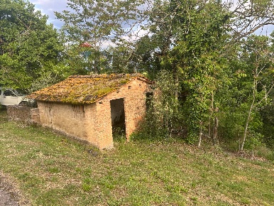 Foto Terreno agricolo in Migliano, Marsciano di 13000 m² in vendita
