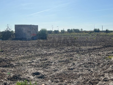 Foto Terreno residenziale in SP 94, Noicattaro di 8035 m² in vendita