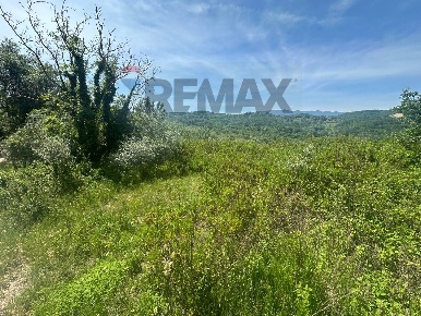 Foto Terreno agricolo in VIA Iodice snc, San Leucio del Sannio di 37000 m²