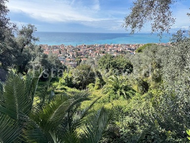 Foto Terreno residenziale in Via Coggiola, Bordighera di 6000 m² in vendita