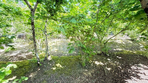 Foto Terreno agricolo in via del gelso, Forino Centro di 3000 m² in vendita
