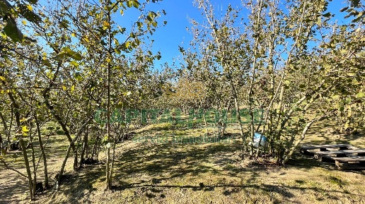 Foto Terreno agricolo in Via Provinciale, Forino di 6760 m² in vendita