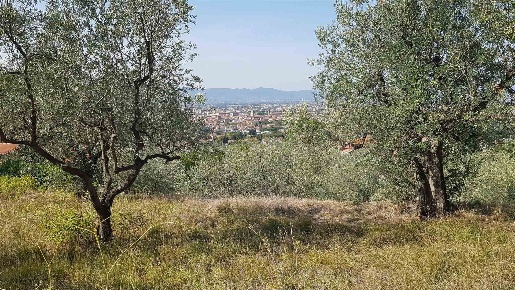 Foto Terreno agricolo a Prato Pietà di 15000 m² in vendita