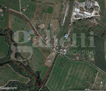 Foto Terreno agricolo in Via montilapi snc, Gallese in vendita