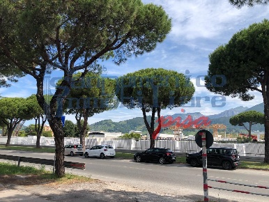Foto Ufficio a Massa Zona Industriale di 2000 m² con 40 locali in vendita