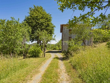 Foto Rustico a Palagano di 529 m² con 15 locali in vendita