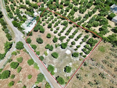 Foto Terreno agricolo a Monopoli di 4127 m² in vendita
