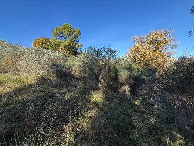 Foto Terreno agricolo in Via Delle Carceri, Bevagna di 3245 m² in vendita