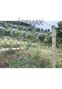 Foto Terreno agricolo in C/DA TORRE DEL LAURO SNC, Caronia di 10000 m²