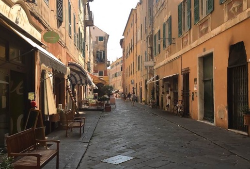 immagine annuncio 12 di 15
