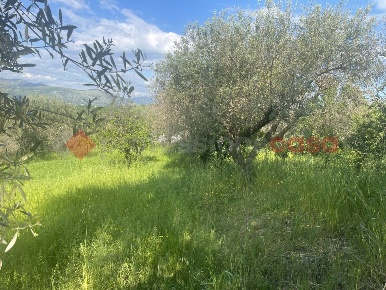 Foto Terreno residenziale in Cadorna, Minturno Cimitero di 2400 m²