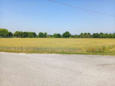 Foto Terreno agricolo a Gaiarine di 16683 m² in vendita
