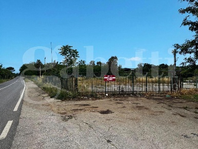 Foto Terreno residenziale in Provinciale 141, Pastorano di 10000 m²